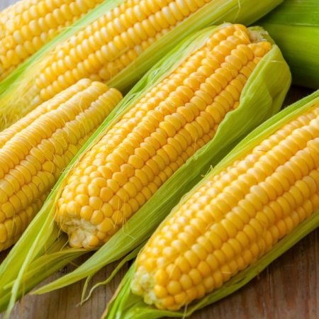 Sfecla de porumb dulce Bantam de Aur - pentru microplante